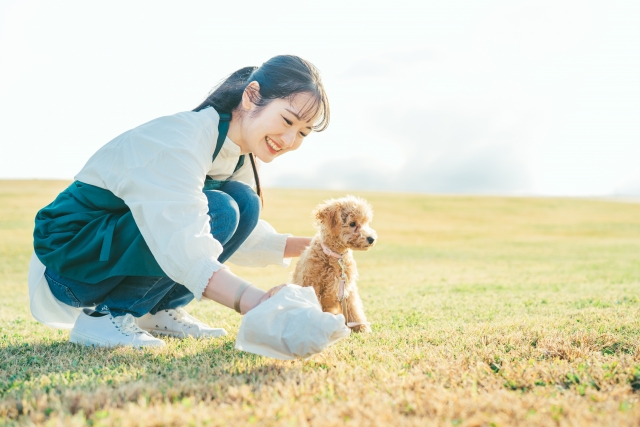 ずっと寄り添うフードで「二十歳を目指す」 プレミアムドッグフード【ミシュワン小型犬用】の魅力